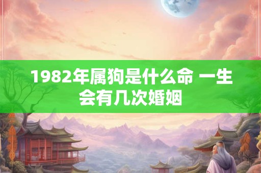 1982年属狗是什么命 一生会有几次婚姻