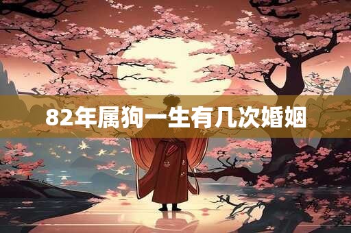 82年属狗一生有几次婚姻