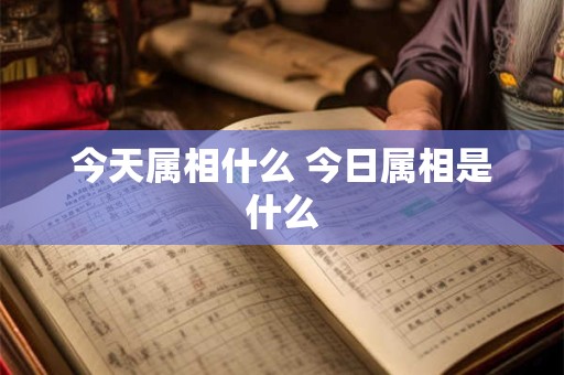 今天属相什么 今日属相是什么