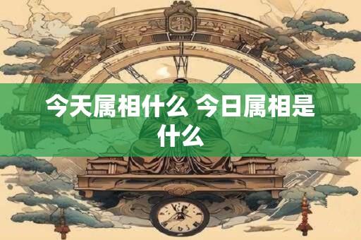 今天属相什么 今日属相是什么