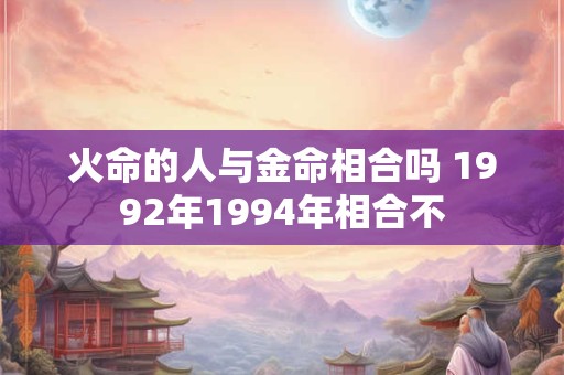 火命的人与金命相合吗 1992年1994年相合不