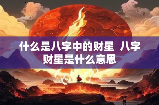 什么是八字中的财星  八字财星是什么意思
