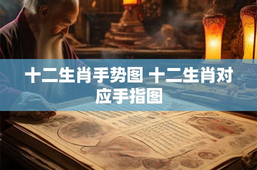 十二生肖手势图 十二生肖对应手指图