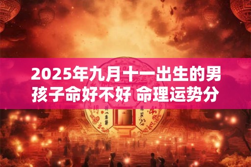 2025年九月十一出生的男孩子命好不好 命理运势分析