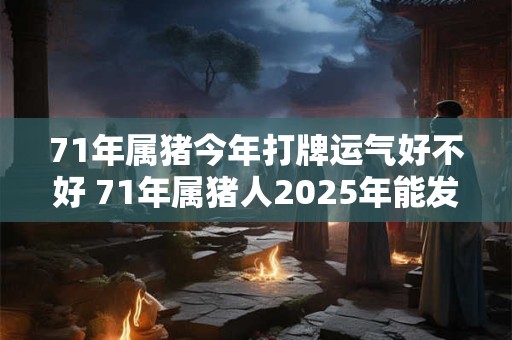 71年属猪今年打牌运气好不好 71年属猪人2025年能发财吗