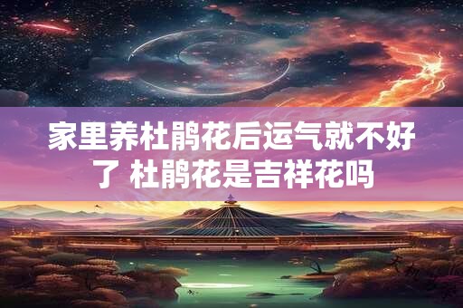 家里养杜鹃花后运气就不好了 杜鹃花是吉祥花吗