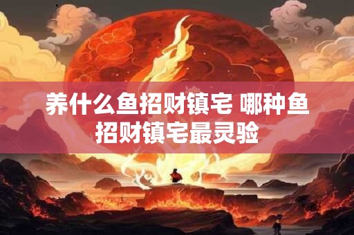 养什么鱼招财镇宅 哪种鱼招财镇宅最灵验