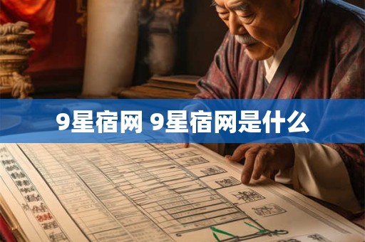 9星宿网 9星宿网是什么