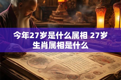 今年27岁是什么属相 27岁生肖属相是什么