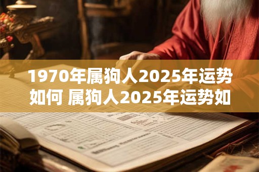 1970年属狗人2025年运势如何 属狗人2025年运势如何