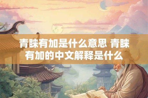 青睐有加是什么意思 青睐有加的中文解释是什么