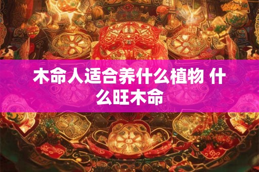 木命人适合养什么植物 什么旺木命