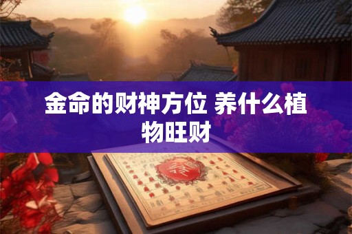 金命的财神方位 养什么植物旺财