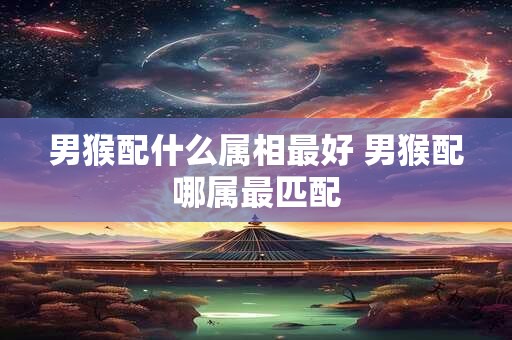 男猴配什么属相最好 男猴配哪属最匹配