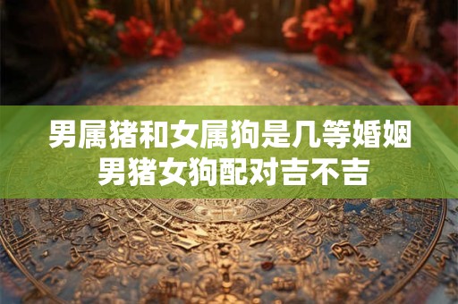 男属猪和女属狗是几等婚姻 男猪女狗配对吉不吉
