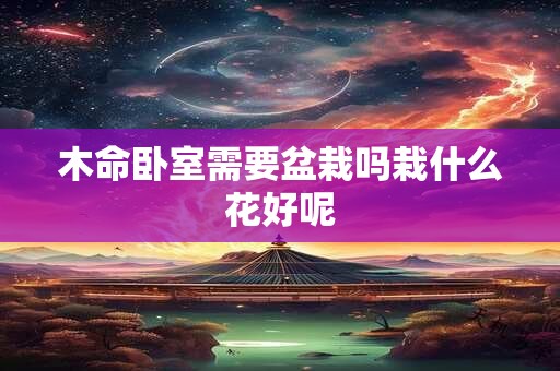 详细阅读:木命卧室需要盆栽吗栽什么花好呢 木命卧室需要盆栽吗栽什么花好呢