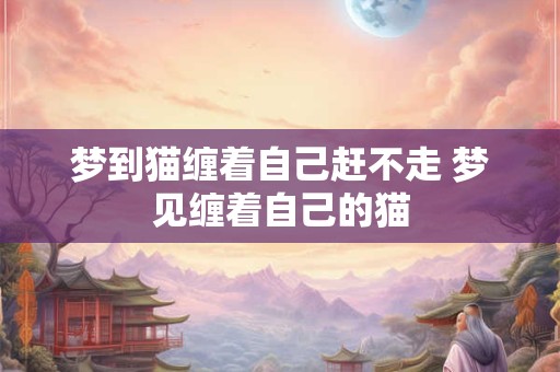 梦到猫缠着自己赶不走 梦见缠着自己的猫