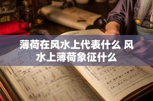 薄荷在风水上代表什么 风水上薄荷象征什么