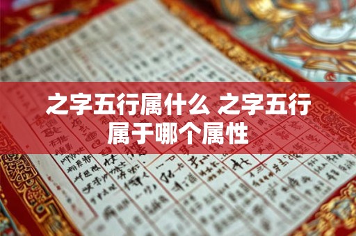 之字五行属什么 之字五行属于哪个属性