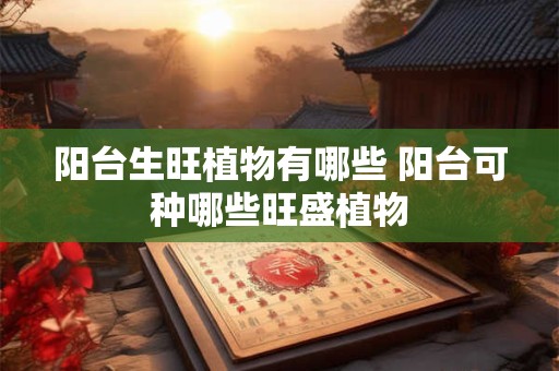 阳台生旺植物有哪些 阳台可种哪些旺盛植物