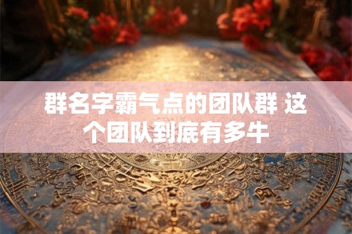 群名字霸气点的团队群 这个团队到底有多牛
