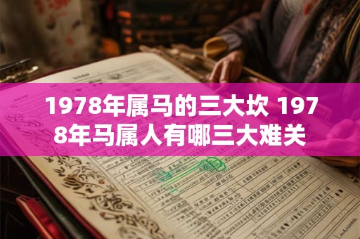 1978年属马的三大坎 1978年马属人有哪三大难关