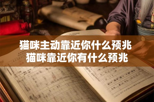 猫咪主动靠近你什么预兆 猫咪靠近你有什么预兆