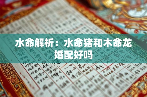 水命解析：水命猪和木命龙婚配好吗