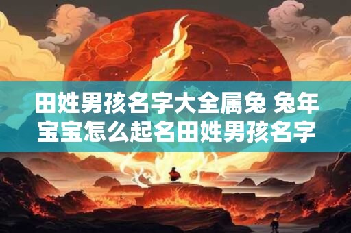 田姓男孩名字大全属兔 兔年宝宝怎么起名田姓男孩名字大全