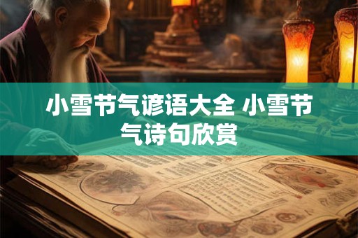 小雪节气谚语大全 小雪节气诗句欣赏