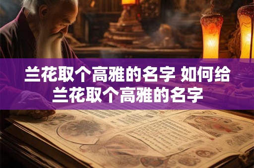 兰花取个高雅的名字 如何给兰花取个高雅的名字