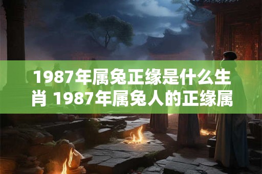1987年属兔正缘是什么生肖 1987年属兔人的正缘属相是什么
