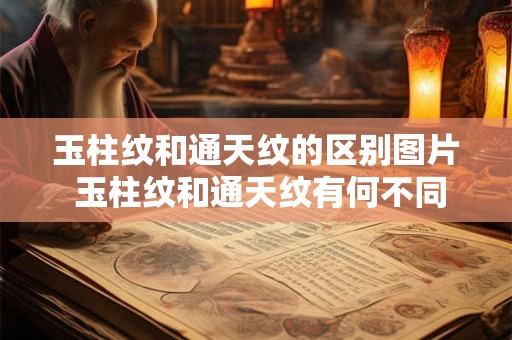 玉柱纹和通天纹的区别图片 玉柱纹和通天纹有何不同
