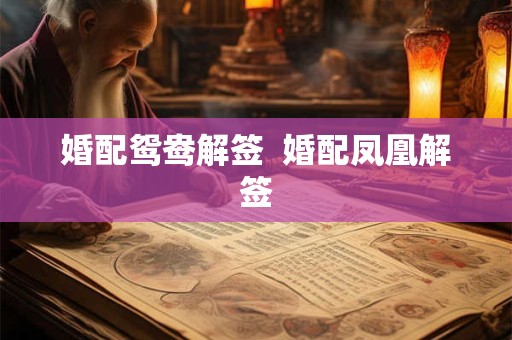 婚配鸳鸯解签  婚配凤凰解签
