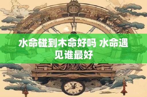 水命碰到木命好吗 水命遇见谁最好