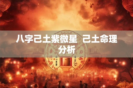 八字己土紫微星  己土命理分析