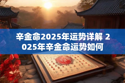 辛金命2025年运势详解 2025年辛金命运势如何