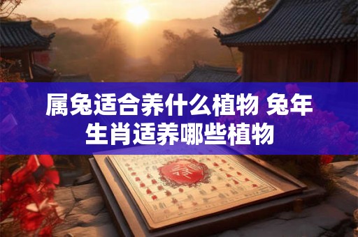 属兔适合养什么植物 兔年生肖适养哪些植物