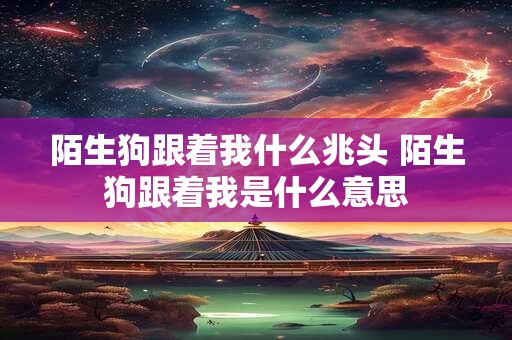 陌生狗跟着我什么兆头 陌生狗跟着我是什么意思