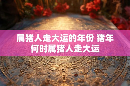 属猪人走大运的年份 猪年何时属猪人走大运