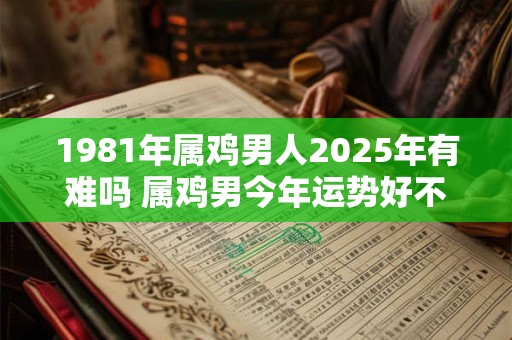 1981年属鸡男人2025年有难吗 属鸡男今年运势好不好