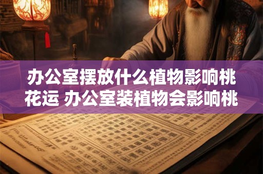 办公室摆放什么植物影响桃花运 办公室装植物会影响桃花运吗