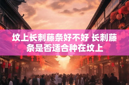 坟上长刺藤条好不好 长刺藤条是否适合种在坟上
