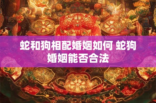 蛇和狗相配婚姻如何 蛇狗婚姻能否合法