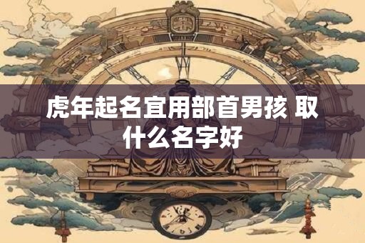 虎年起名宜用部首男孩 取什么名字好