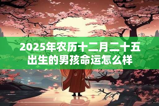2025年农历十二月二十五出生的男孩命运怎么样