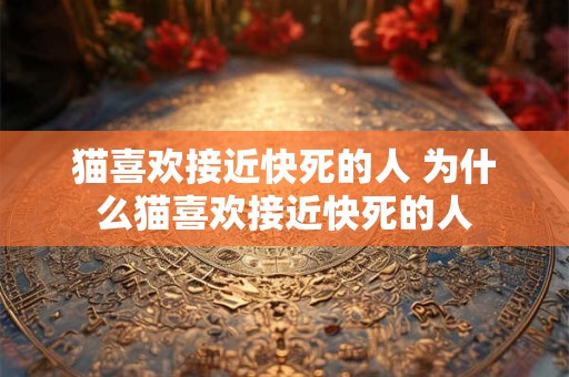 猫喜欢接近快死的人 为什么猫喜欢接近快死的人