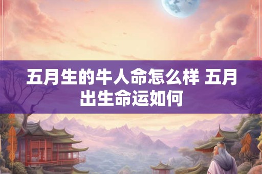 五月生的牛人命怎么样 五月出生命运如何