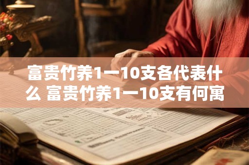 富贵竹养1一10支各代表什么 富贵竹养1一10支有何寓意