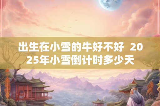 出生在小雪的牛好不好  2025年小雪倒计时多少天